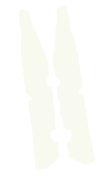 Peg for notes Illustration